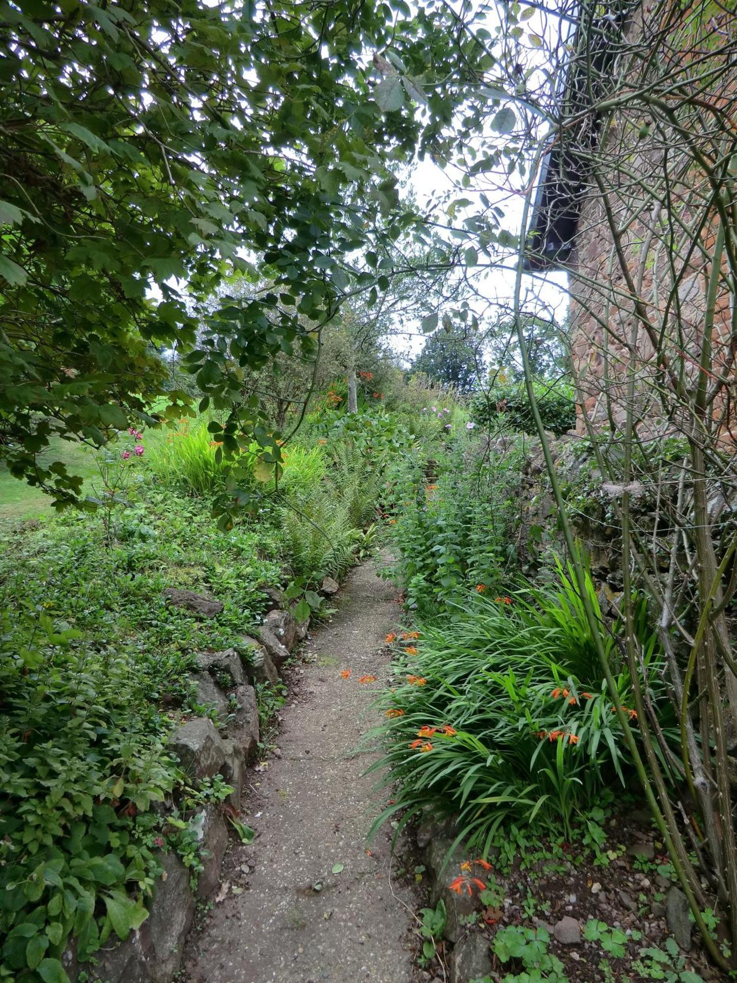 Castle Of Comfort Hotel Nether Stowey ภายนอก รูปภาพ